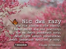 Cóż... Nie zostało nic, jak tylko korzystać z życia!