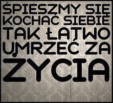 Kochajmy siebie i innych zanim umrzemy