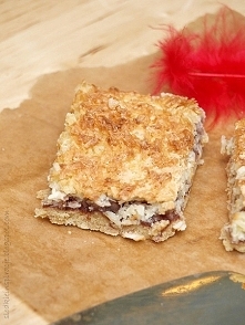 Coconut jam slice