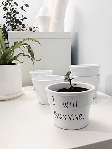 doniczka od only inherently