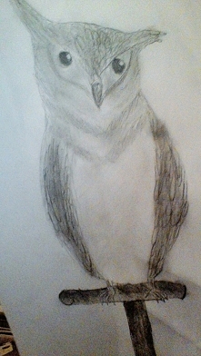 to mój pierwszy rys z cieniowaniem. co o nim sądzicie?