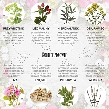 Czasami warto jest się zapoznać , na co działają nie które zioła , jeśli się nie wie czemu mają służyć,,