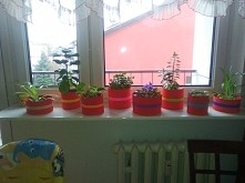 osłonki na doniczki :)