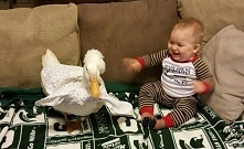 Nietypowy przyjaciel małego...