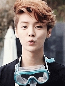 Lu Han