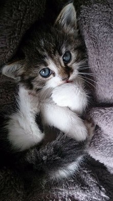 awwwwww ❤ moja Szilka