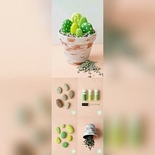 Kaktusy. Coś czuję że niedługo zrobię :D (ps. Zapraszam na YouTube "Kerwetka". Znajdziesz tam DIY i różne ciekawe pomysły)