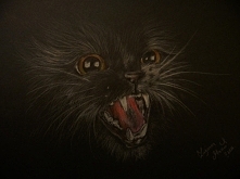 Kotek na Dzień Kota :) rysunek pochodzi z powyższej strony, podobnie jak wszystkie moje szkice na tej tablicy. ~Z.M.