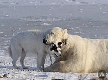 Piękna przyjaźń :)
