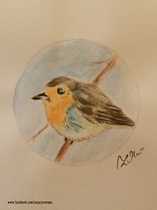 Rudzik. Akwarele w szkicown...