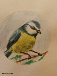 Sikorka, akwarele ~ Z.M.