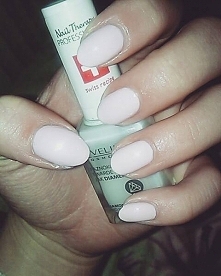 Golden Rose WOW! nr 09