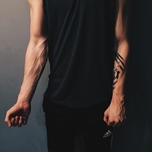 Veins