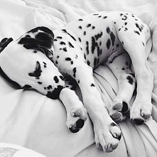 Słodki śpioszek *-*