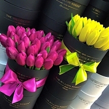 Jeśli masz dziewczynę to leć do najbliższego punktu sprzedaży by kupić dla niej np. tulipany. Wręczając jej to cudo bardziej Cię pokocha. Na randce też dodadzą więcej romantyzmu.