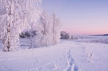 Kto by pomyślał, że zima może byś kolorowa. A jednak. Nasze ukochane słońce sprawia, ze nudny biały przywiera nowego znaczenia.