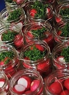 Marynowane rzodkiewki 1kg główek rzodkiewek 0,5-1