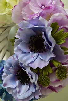 Dziedzicka Dekoracje