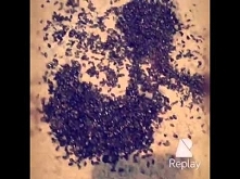 Chleb z ziarnami słonecznika