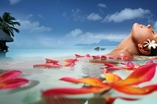 Mydło marsylskie- naturalne, francuskie mydło, zawierające co najmniej 72% olejów roślinnych. Jest hipoalergiczne i bakteriobójcze. Można je stosować do pielęgnacji skóry całej ...