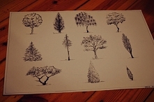 `Trees