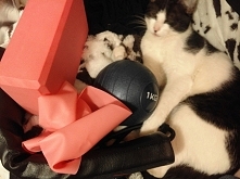 mój sprzęt do cwiczeń ( więcej po kliknięciu w zdjęcie, na nim nie ma wszystkiego) : )