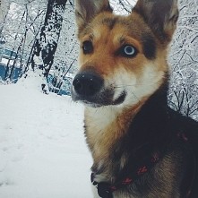 ladne zdjecie? instagram: n...