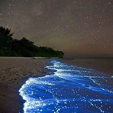 Malediwy i bruzdnice noca *.*