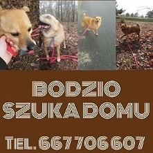 wracam po przerwie :)