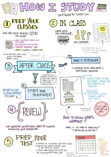How to study