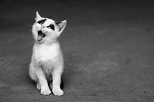 Mój najcudniejszy Kropek!