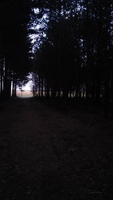 Każdy w swoim życiu musi pr...