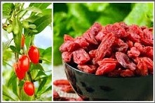 Cześć :) mam pytanie. Czy jagody goji naprawdę działają jeżeli chodzi o stratę wagi? Próbował ktoś?