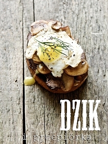 Dzik i przepiórka szukają wiosny