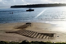Extraordinary Innovative 3D Beach Art