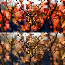 Przed i po obróbce ;)