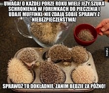 UWAGA!!!...