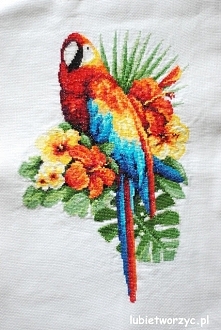 Papuga wykonana za pomocą haftu krzyżykowego