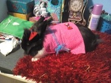 kikisia pięknisia :-)