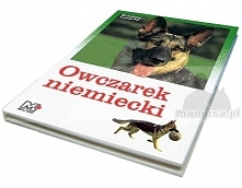 Owczarek niemiecki.