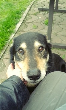 ach te oczka :) Henio