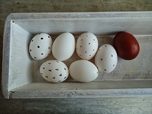 wielkanocne fotografie