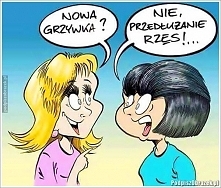 Nowa grzywka?