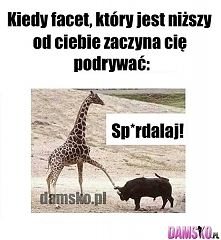 Kurduplu Ty...
