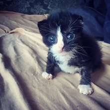 6:00 "Grażyna, wstałaś już? Grażyna, śpiochu, widzę że nie śpisz... masz wolne, nie idź na trening, baw się ze mną"

Chyba wolałam jak miał jeszcze zamknięte oczka i j...