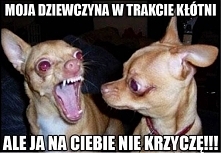 ALE JA NA CIEBIĘ NIE KRZYCZĘ