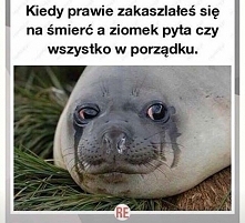 Ten kaszel...
