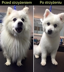 Odmieniony i jakże piękny