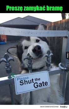 jaki groźny pieseł :)