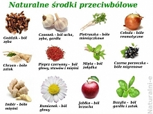 wskazówki